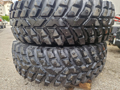 Räder Nokian mit Spikes