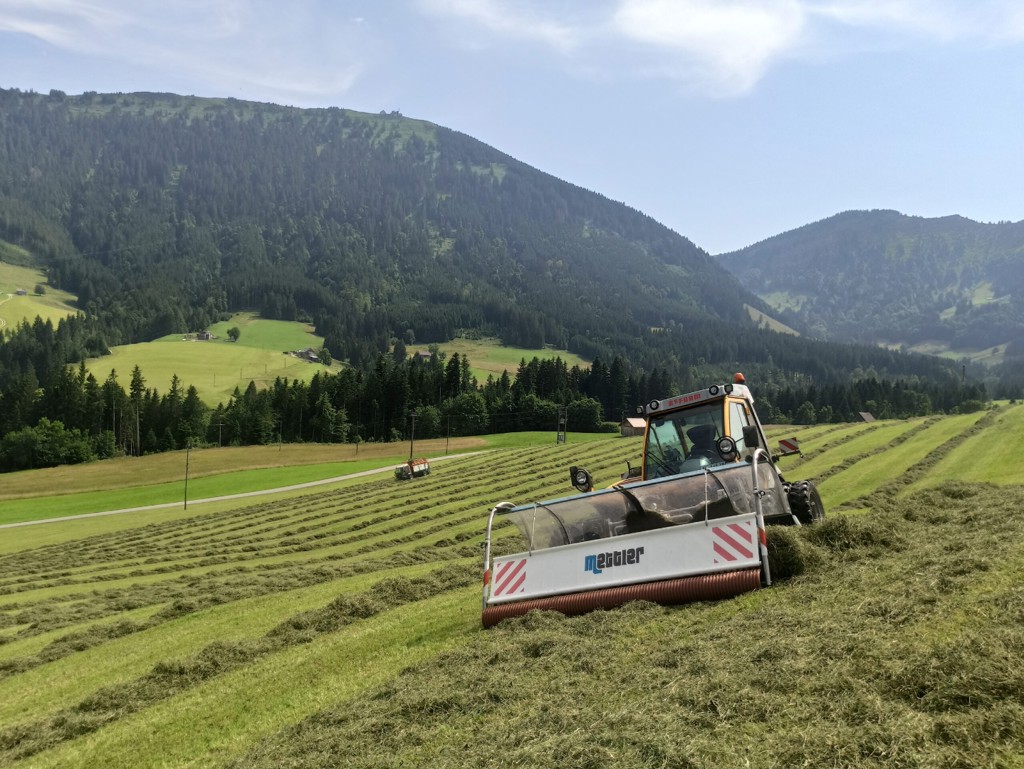 a04e5098-4ca2-422e-97b2-325a81cf7cc2-IMG_20210723_153149-scaled (1).png