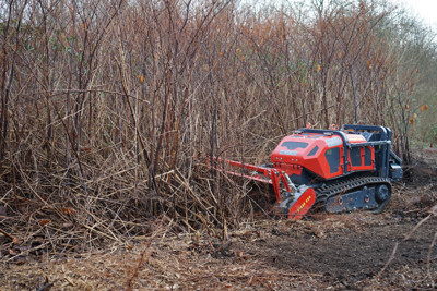 Miete Raupenfahrzeug MAX 50le + MICROFORST rc 125