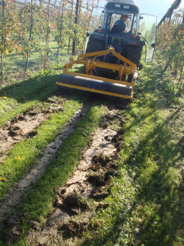 4b6c7229-2237-49ad-b629-4399fd809619-2014 148.jpg