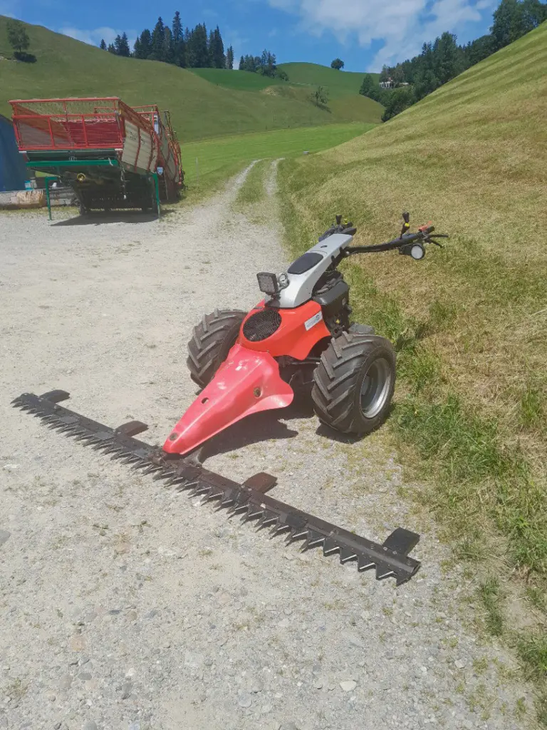 Motormäher