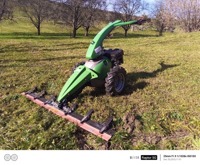 Rapid Mondo mit Messervalken