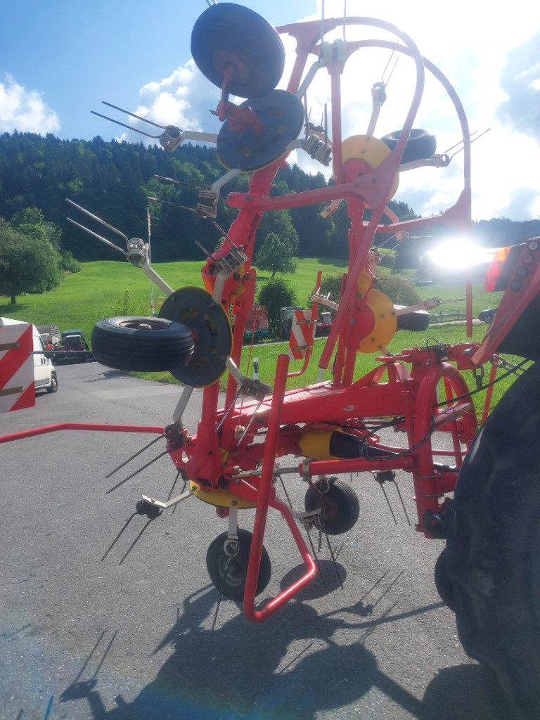 75c9c2cf-0859-4bf7-be41-0d8233ffce37-WhatsApp Bild 2025-07-09 um 09.jpg