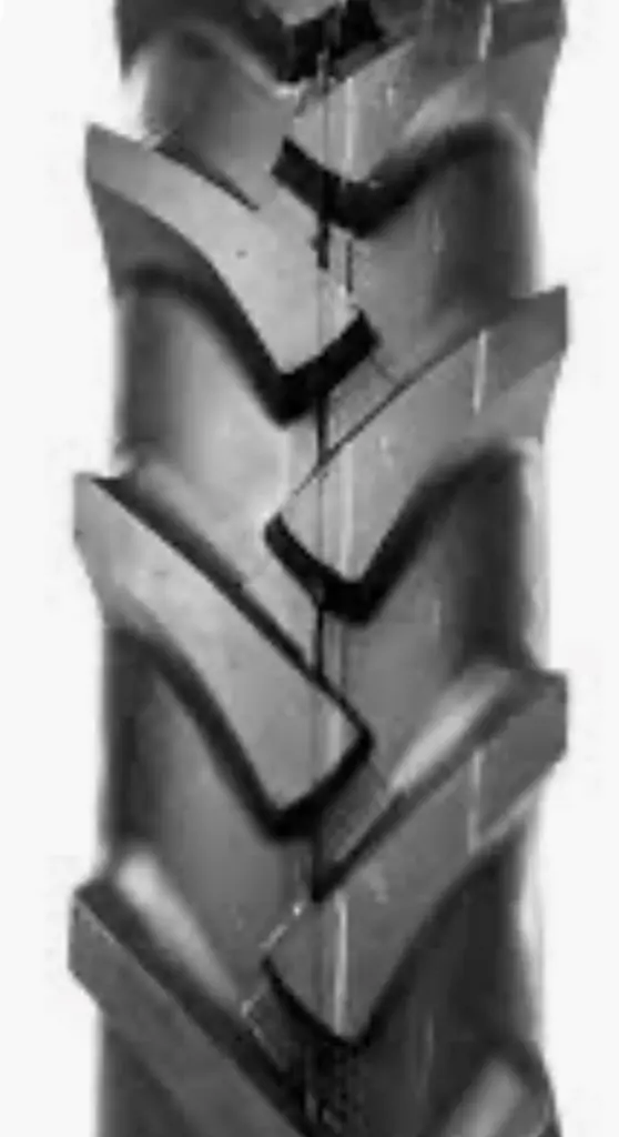 f2bdd5da-5b12-4597-aa32-52d2c02ed39a-Foto 2.jpg