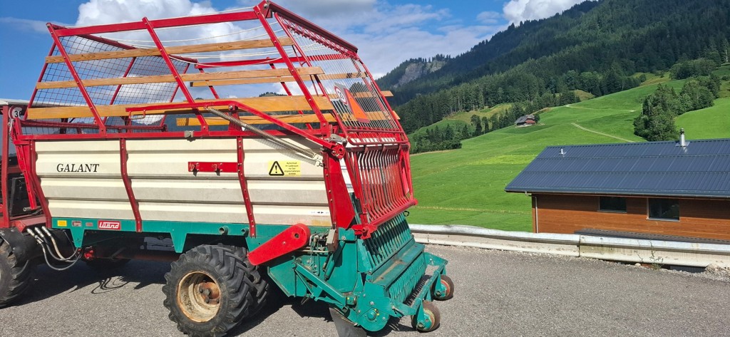 0903d729-bff4-4391-82cc-44578b4746bb-lüö8 20250729_173117.jpg