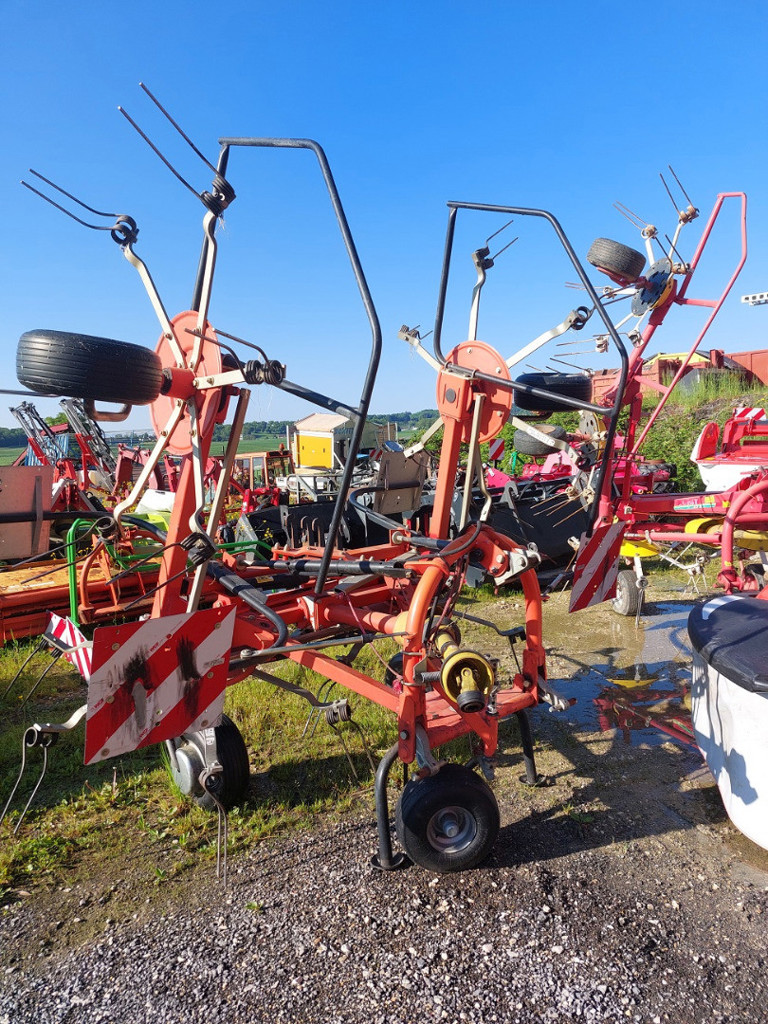 76da41e9-112d-4628-b722-359a9ddbf9ad-Fella Lüdi (2).jpg