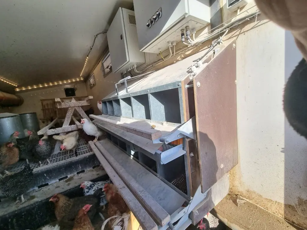 7ee496c8-5eae-4526-9dd3-a2e96b08262c-WhatsApp Image 2026-04-13 at 10.32.23 (6).jpg