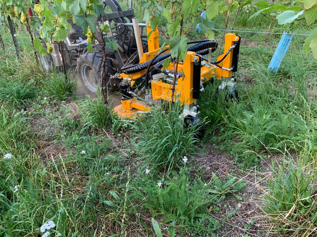 a9f1e039-547f-406c-a6a0-f6e9583615f8-WhatsApp Image 2023-08-23 at 11.21.45 (1).jpg