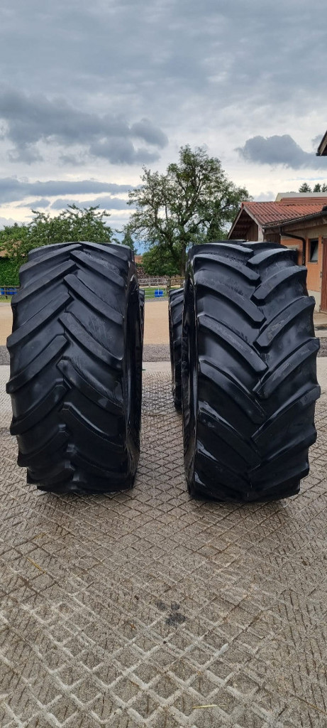 ac4c6518-d510-4745-acea-960c5a73bb69-WhatsApp Image 2025-07-08 à 12.jpg