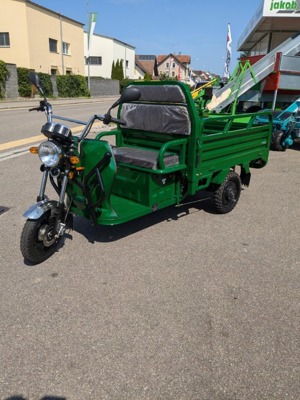 e-Transporter Carello LDR-35