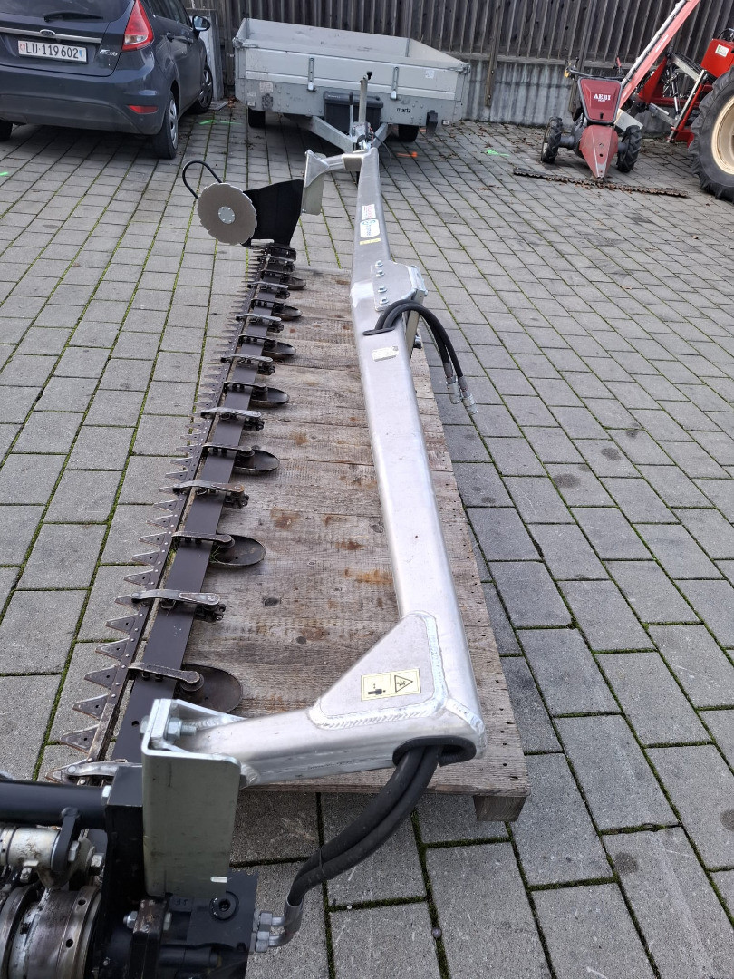 c7fe5ddd-3e48-443b-8a22-5472ee8fa98e-WhatsApp Image 2025-11-11 at 17.43.44 (4).jpg