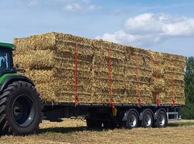 Plattformanhänger Dülk