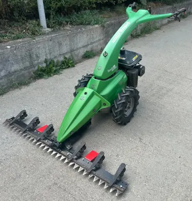 Rapid Mondo