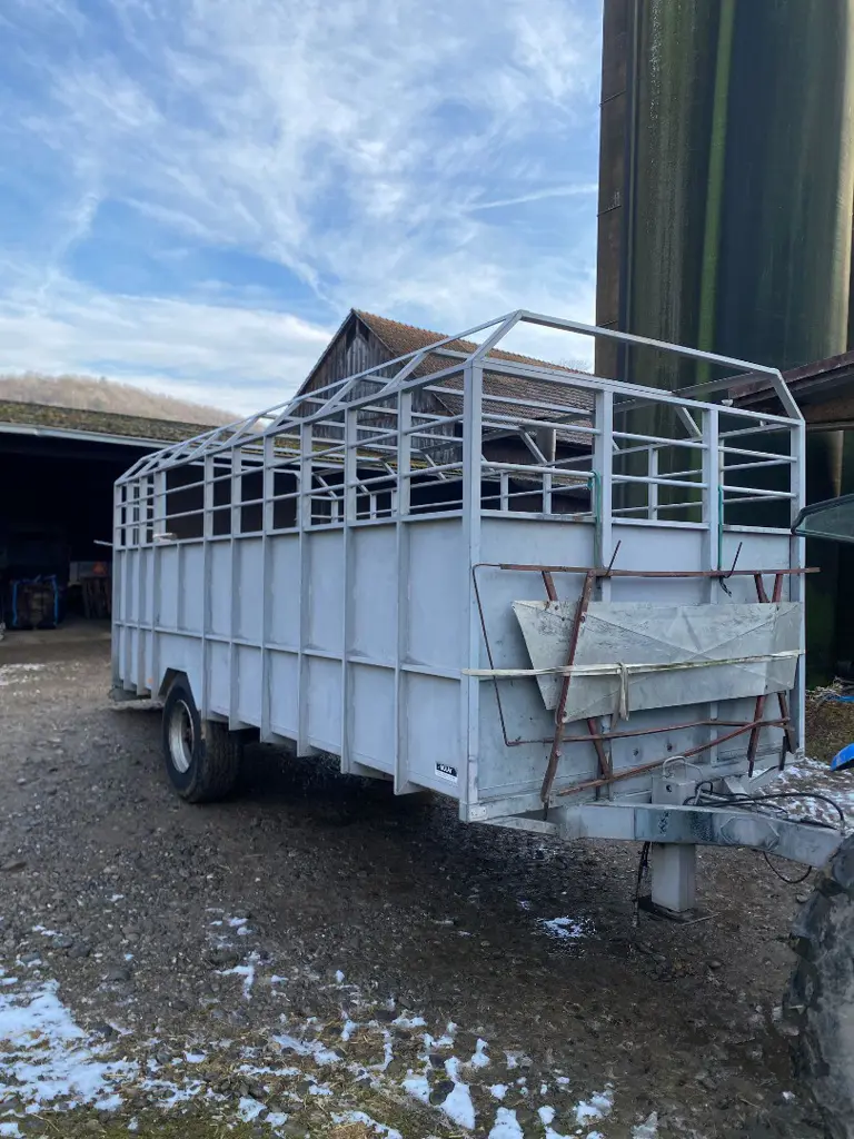 61f31dc1-d9bb-4b90-9427-74c9fd78d70b-WhatsApp Image 2026-01-14 at 21.12.19 (1).jpg