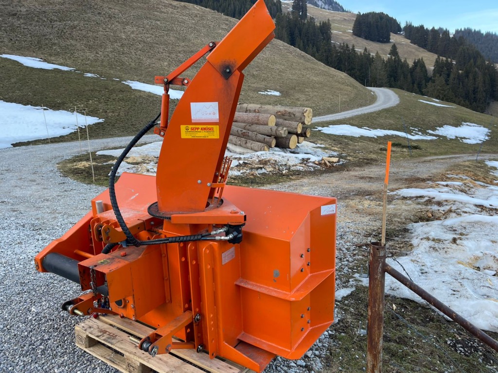 ead70af5-a59a-480a-9044-f5681bb7bb96-WhatsApp Image 2025-05-08 at 17.png