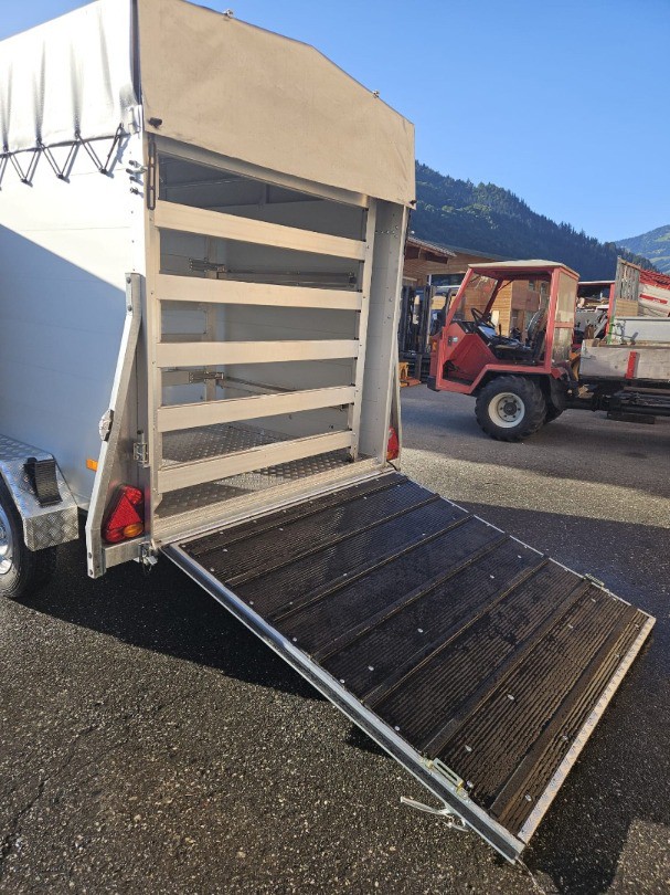 63c1e5a9-c8ef-493d-844e-ab166f797094-WhatsApp Bild 2024-09-18 um 17.jpg