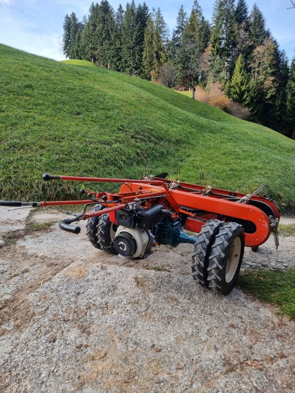 fa5e02ca-9361-4ecd-aedd-71bfb33853ca-WhatsApp Image 2026-01-10 at 10.jpg