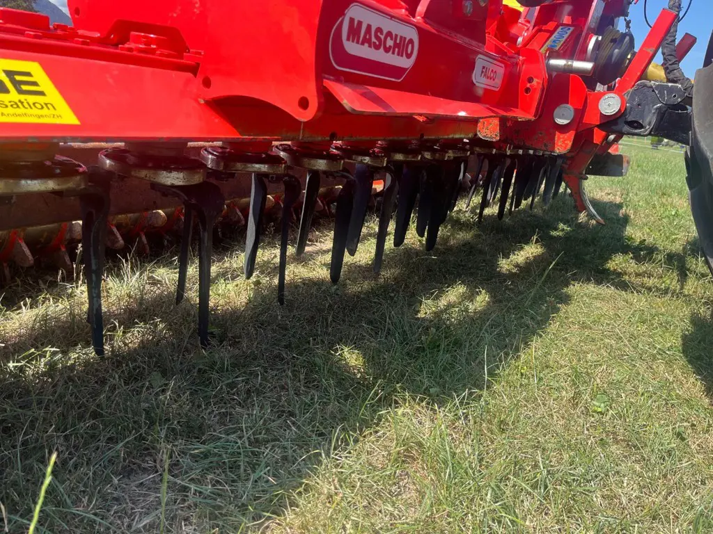 b96f300d-f123-4d6b-a476-a7e119fb0cf0-Maschio 4.jpg