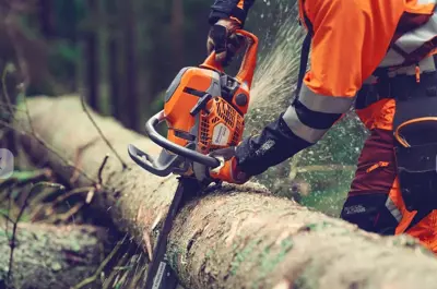 Husqvarna 564 XP   !!! Jetzt ab Lager lieferbar!!!