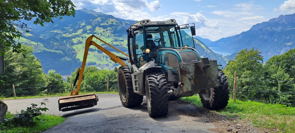 fd950bc7-2a38-40ad-8b79-aa21dd0f144c-20250714_151612 (002).jpg