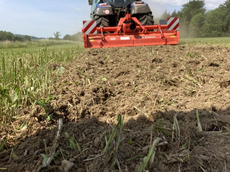 67f09879-d0c0-42b3-ae0d-f1ebfb94218b-IMG_0588 (Petit).JPG