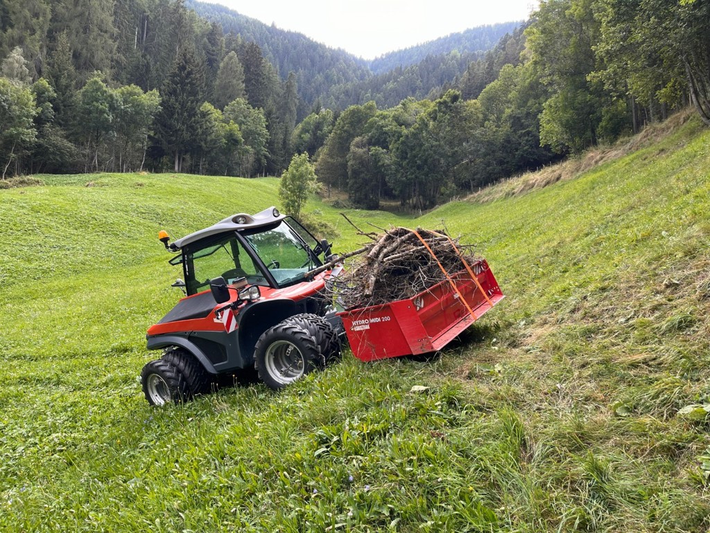 f258d619-b807-48e3-8582-c0a5bf873cc5-IMG_5223 - Copie.jpg