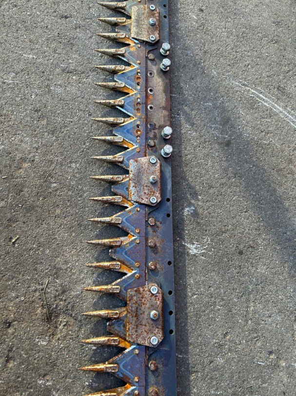 2f755f3a-5568-414d-955c-7371d33033a0-Foto 12.12.25, 10 45 35.jpg