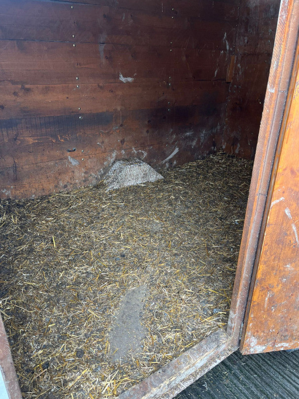 83b81b2a-e2cb-4103-91a0-501b7267aed5-WhatsApp Image 2026-02-02 at 17.jpg