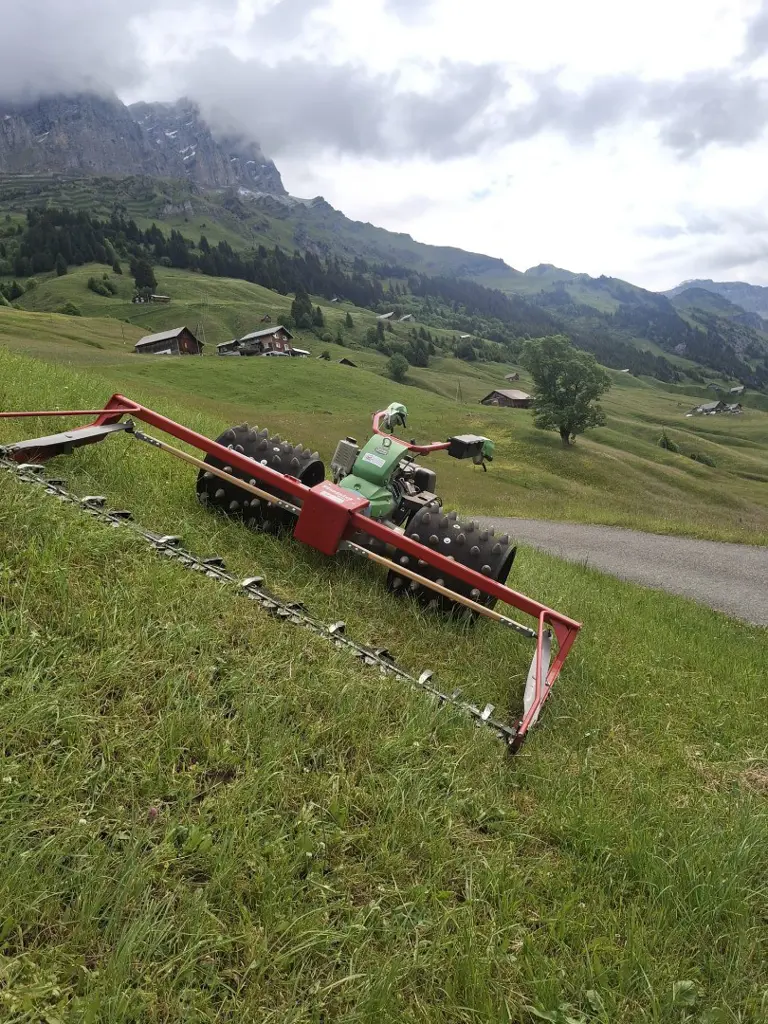 Rapid Monta S161
