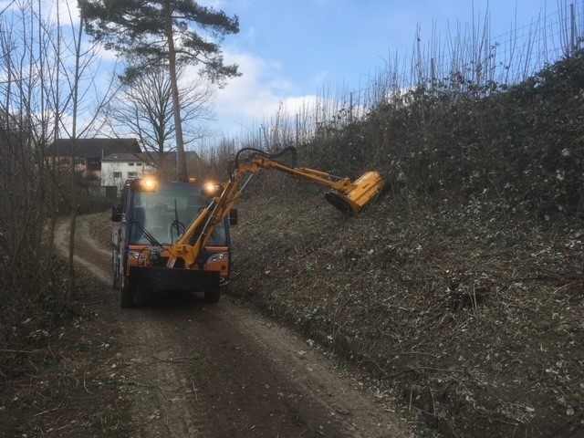 8d0f436e-4ad2-4169-a55e-234e155fab25-Böschungsmäher _4.jpg