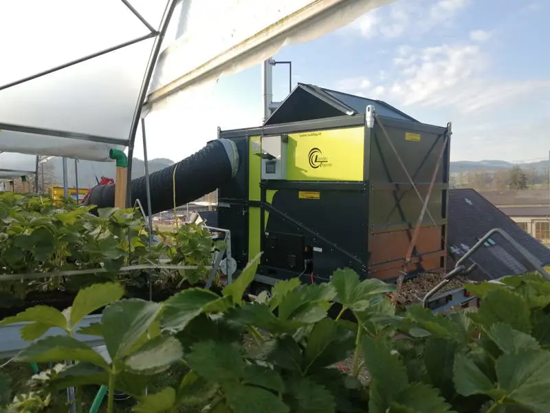 1203e428-11a6-4a0a-9d7c-cf0e992a0c54-WhatsApp Image 2023-03-22 at 18.06.05.jpeg