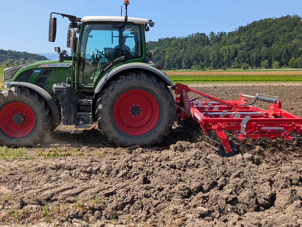 Krukowiak Sigma Plus Federzahnegge