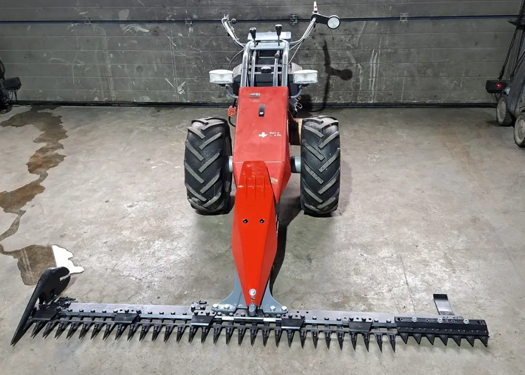 5413d978-aa4c-45aa-9c8d-0518deb5e498-20261024_152842[1].jpg