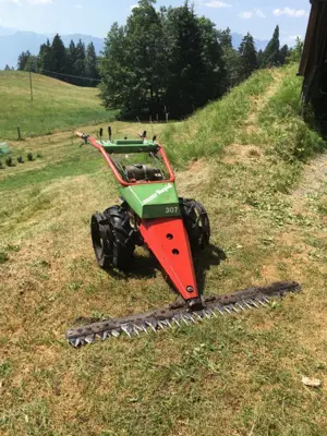 Motofaucheuse Rapid 307