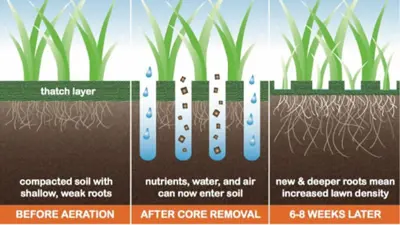 Wiesenbelüfter/Grasnarbenbelüfter  1.50, 2.50/3.00/5.0m, Aerateur de prairies - Stacheln Sie jetzt i