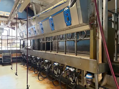 Melkstand Boumatic