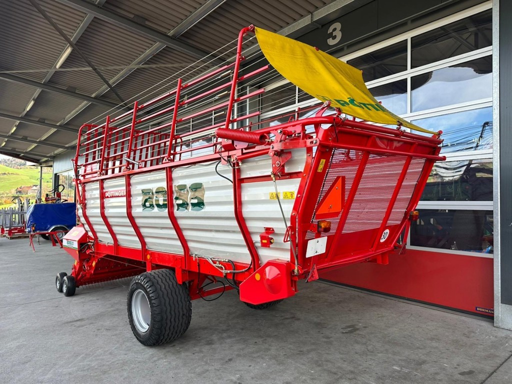 dcf203f9-84a6-4e39-9c8b-d7aaef880f6c-WhatsApp Bild 2025-11-02 um 18.jpg