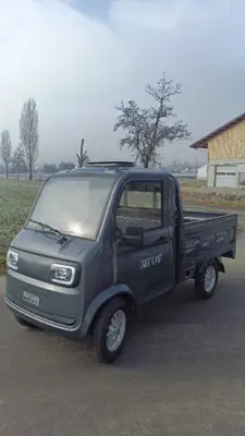 Cargo Runner Toro Elektrofahrzeug Kleintransporter