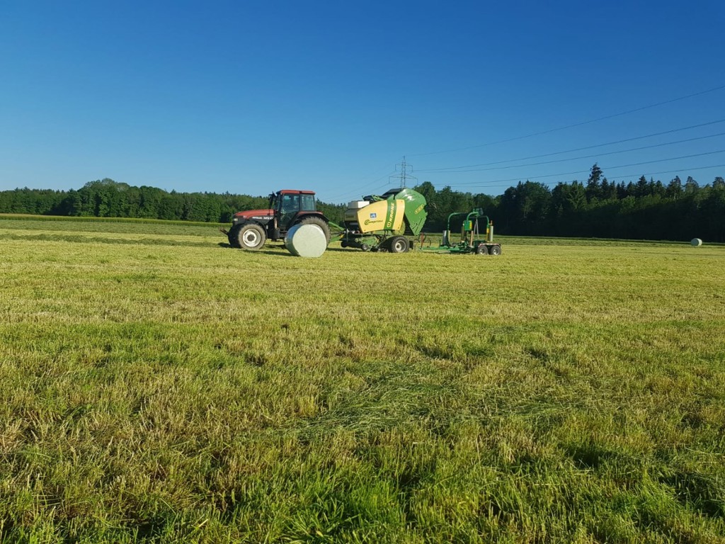 d4f41ca7-7c05-4c3a-861f-6d9146579318-WhatsApp Image 2025-03-06 at 11.jpg