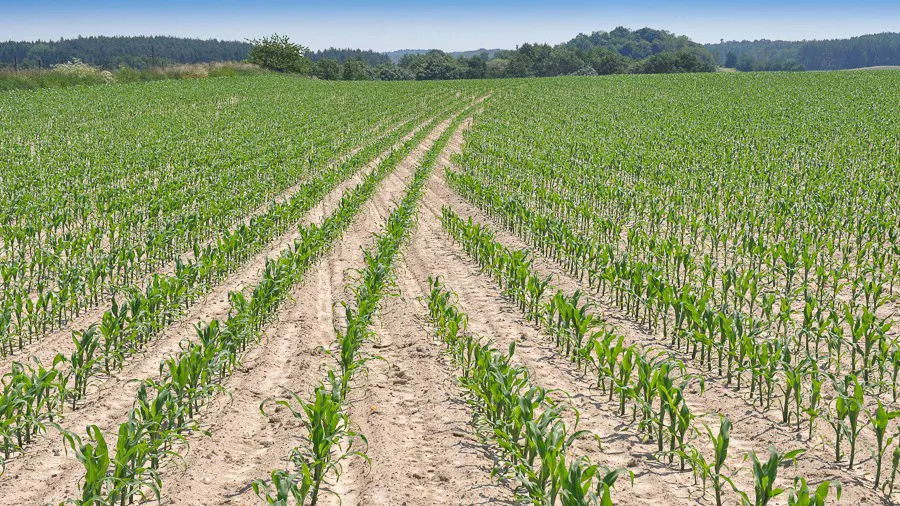 4215c530-67bb-4f5a-81e4-a2af1052d110-tempo-row-shut-off-saves-fertiliser.jpg