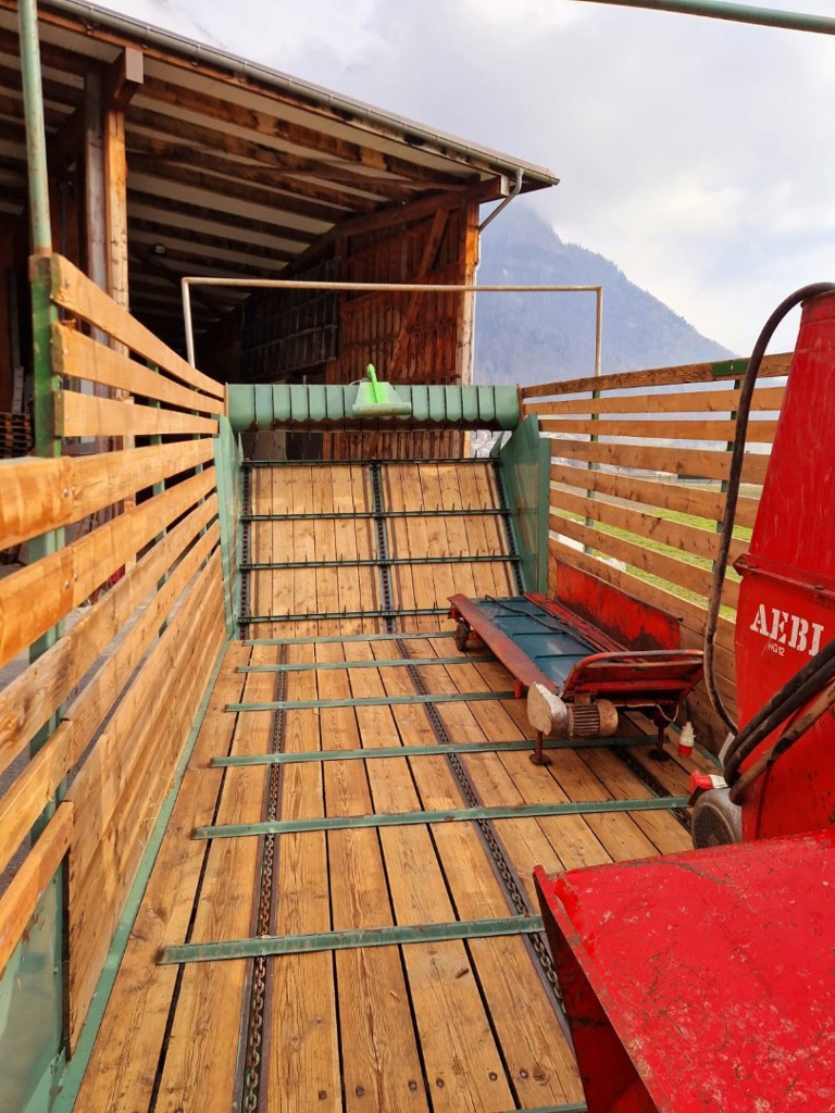 2c3845b0-08b1-4bd6-951d-407c067f9238-PHOTO-2025-02-10-05-39-03 (4).png