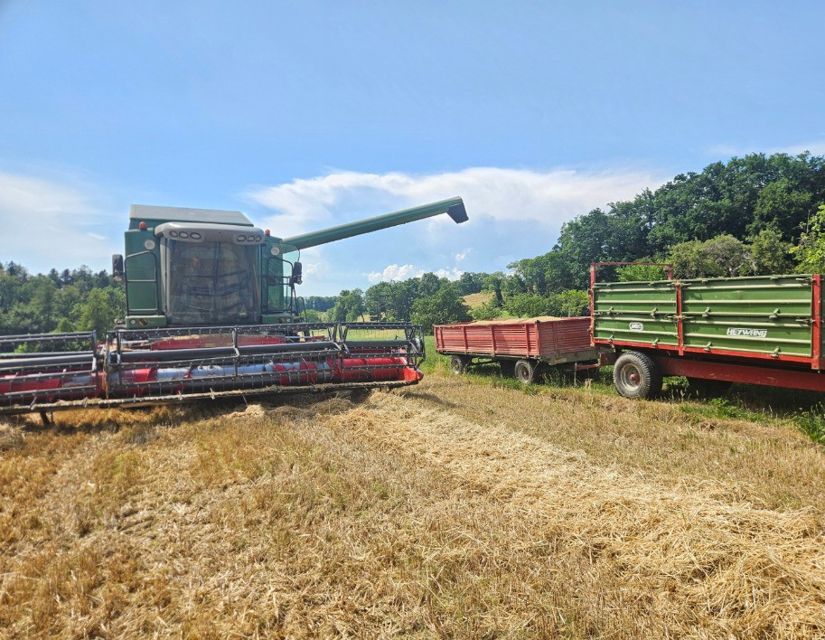 8c360f73-4906-4d83-85ca-29dea69d665f-