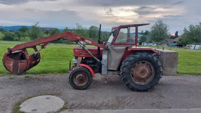 MF 135 mit Frontlader und Gegengewicht