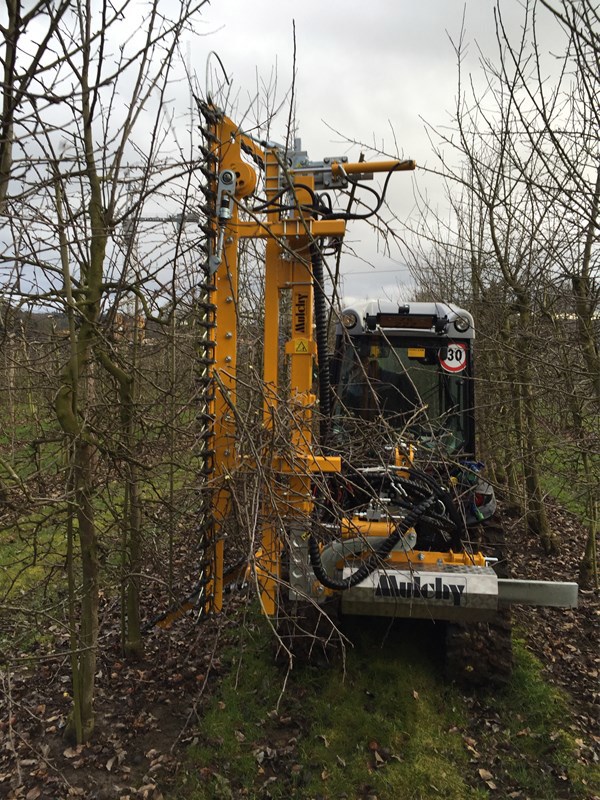 MULCHY Plantagenschneider CRF