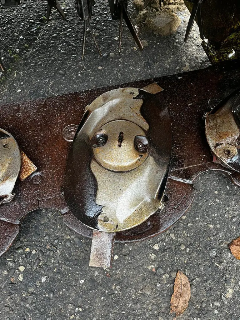 981d73c3-a1c6-41b3-ac28-0e6047bee723-WhatsApp Image 2026-04-22 at 09.jpg