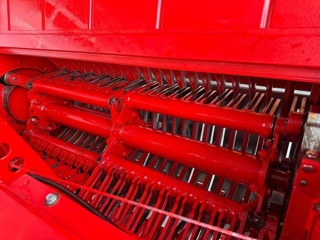 846c83da-79f2-44c4-86fc-0ab5dea3cfd5-WhatsApp Bild 2025-11-02 um 18.jpg