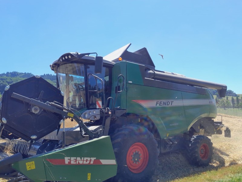 Fendt, 6335 C PL , 2013