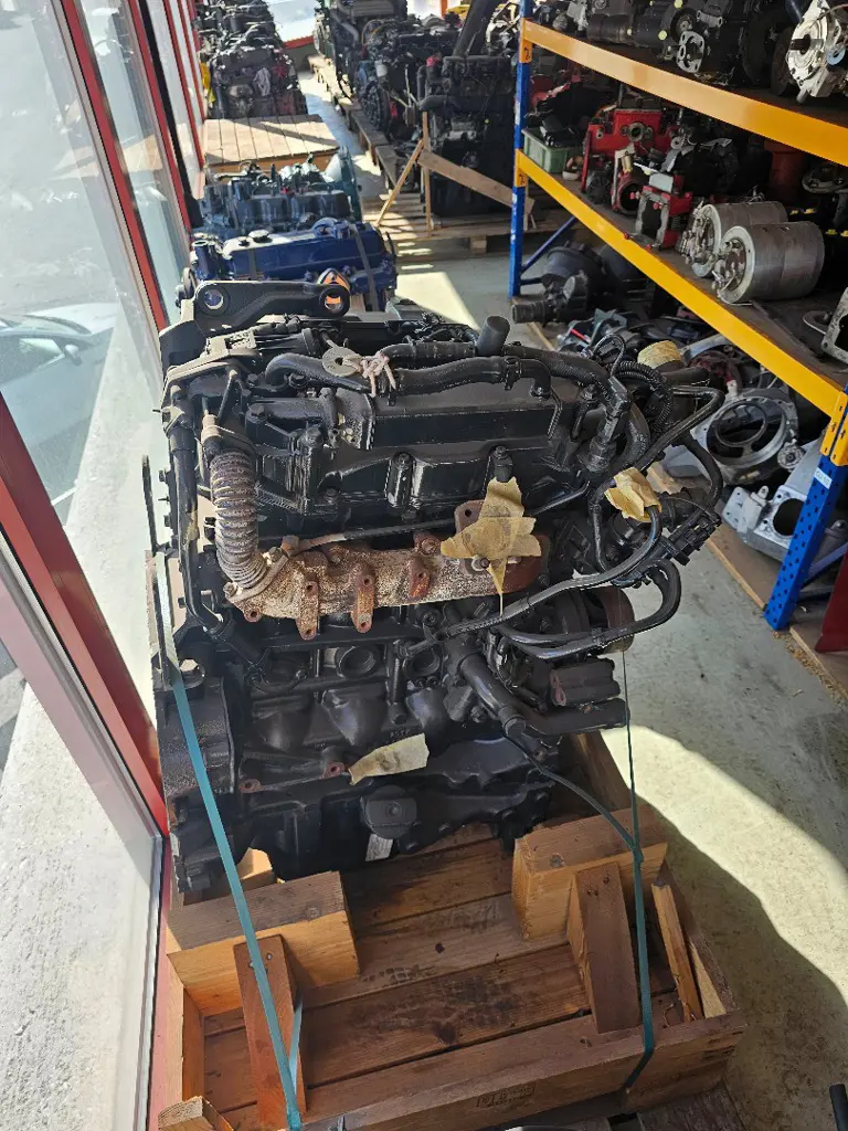 NEW HOLLAND F5GFL 413 V*C def. zu T 5.120 Kolben Zylinderkopf Occ.
