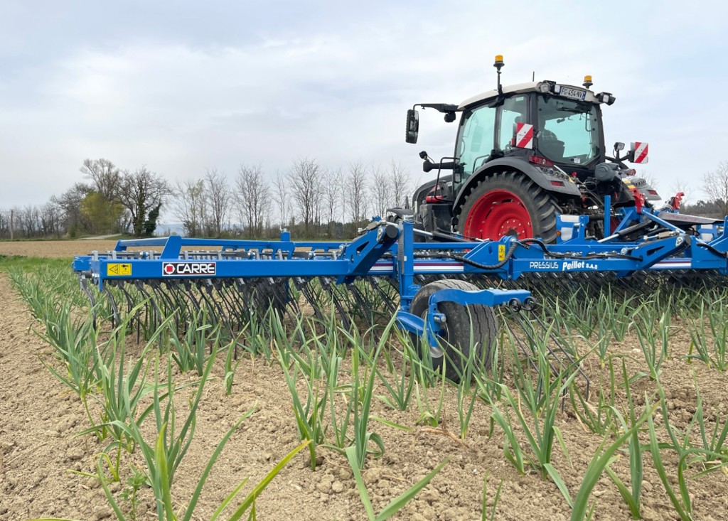 e4f8f79d-4c24-4580-882d-952d3017adf7-Screenshot 2025-03-31 084640.png