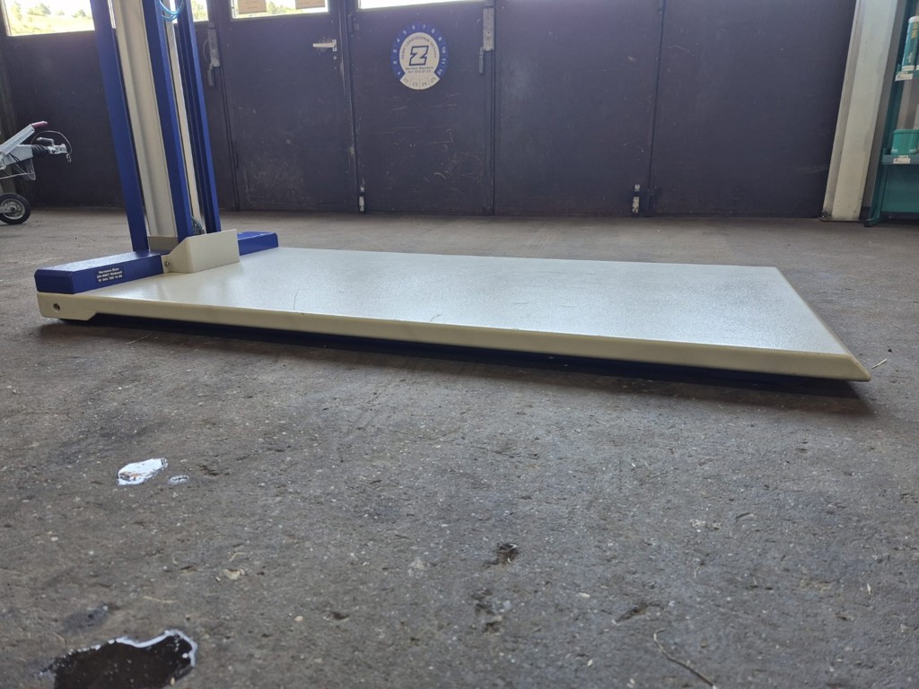 32915c4c-c27e-4c49-982f-8ed8ff1c1858-WhatsApp Bild 2025-06-24 um 15.jpg